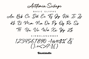 Aittemia Seikage a Handwritten Font, a Handwritten Font by Basnistudio (Thumbnail 10 of 12)
