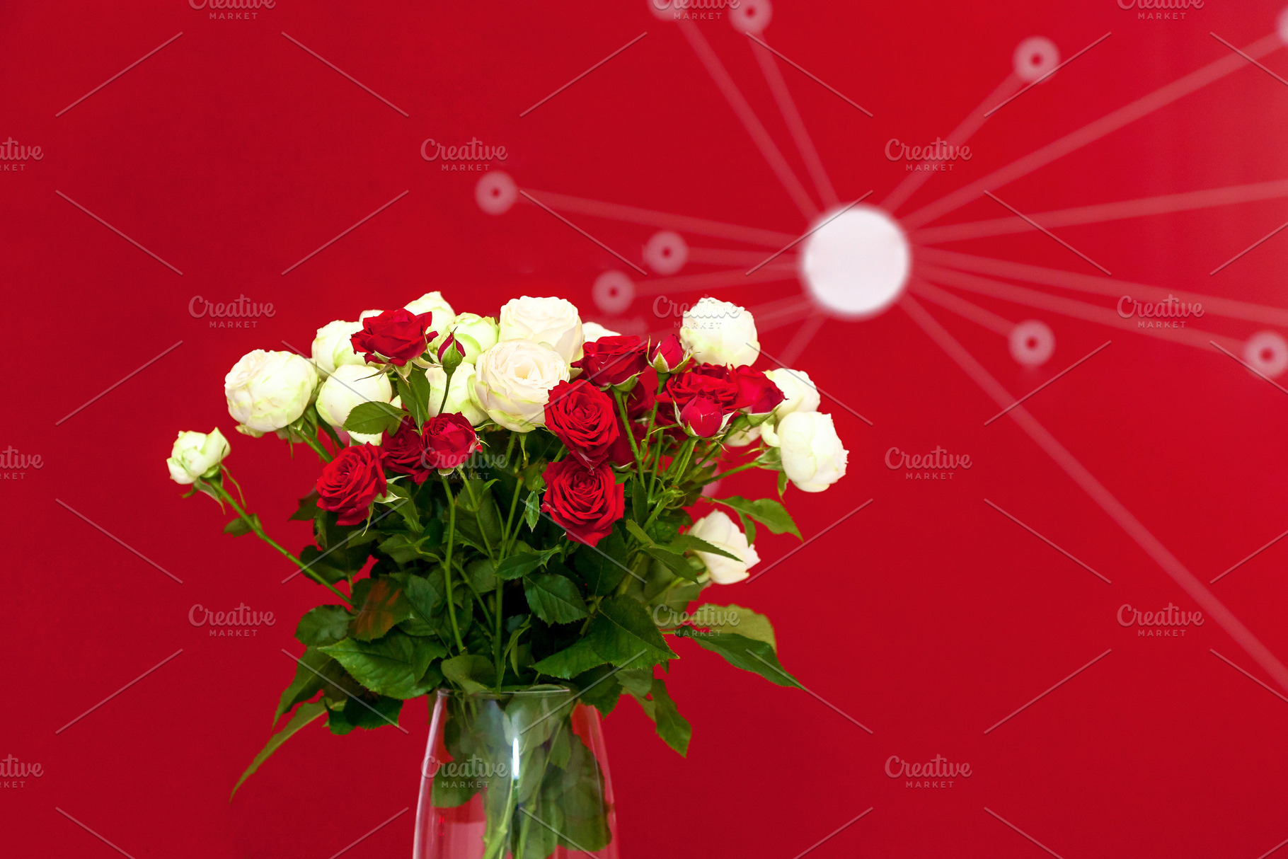 Bouquet of red and white roses against red wall, an Abstract Photo by Photostock