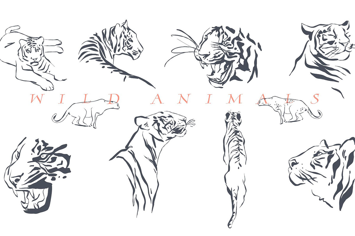 Roar and Palms, an Object Graphic by Anastasy_helter (Photo 4 of 9)