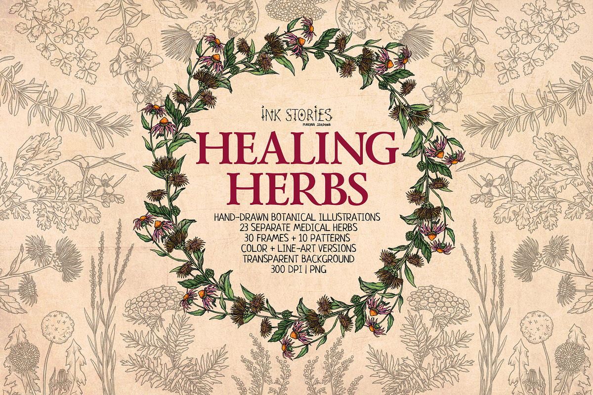 Healing Herbs | Botanical Bundle, a Healthcare Illustration by Ink Stories (Photo 1 of 13)
