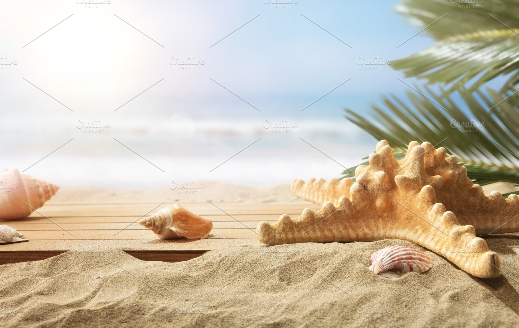 Starfish and Shells on Sunny Beach, a Holiday Photo by Davizro's Market