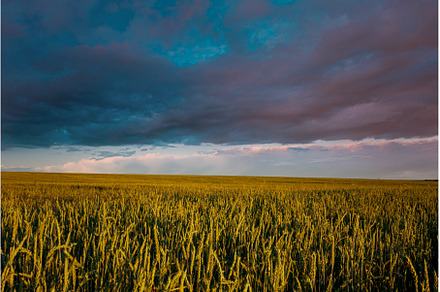 Green Field Under Dynamic Skies at, a Beauty & Fashion Photo by Our Amazing World