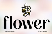 FIBULAR SANS - Variable Display Type, a Sans Serif Font by Artflorara (Thumbnail 7 of 23)