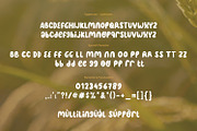 Oryza Sativa - Organic Font Duo, a Font by Orenari (Thumbnail 11 of 15)