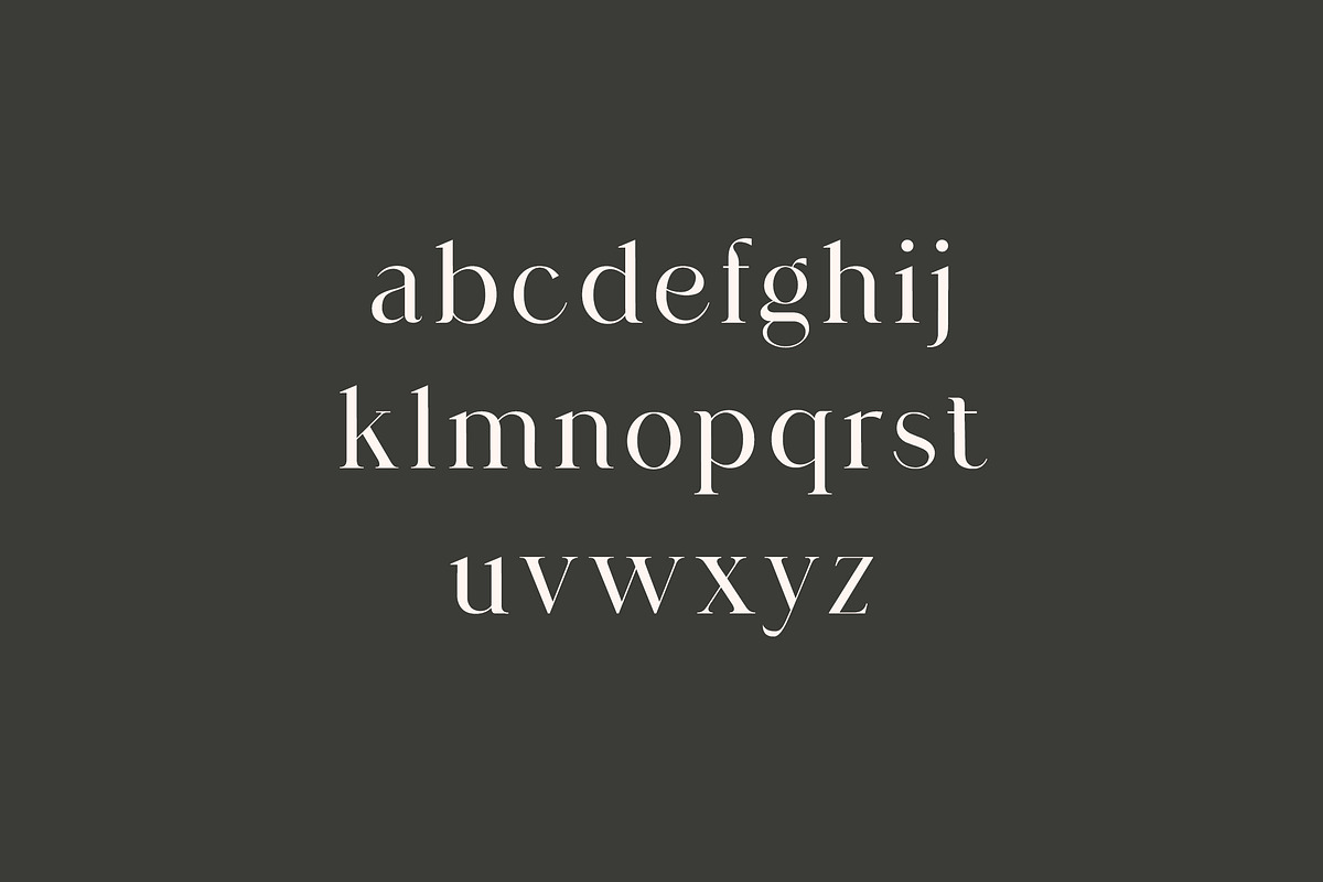 Agathias Stenchy Modern Serif Font, a Serif Font by UICreative (Photo 7 of 9)