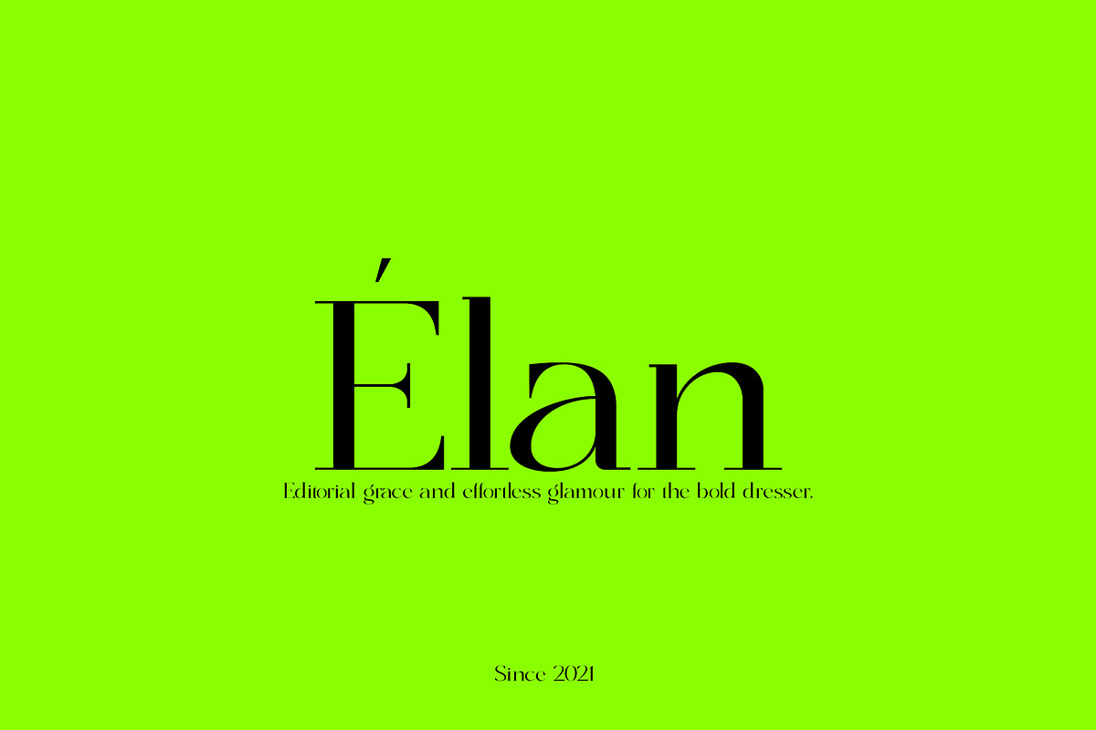 Panorama - Classical Serif, a Serif Font by subkulturetype (Photo 4 of 8)