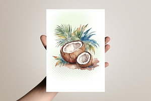 Tropical Coconut