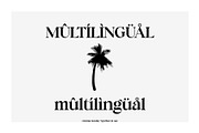 cinema sunday, a Serif Font by INKSUN™ (Thumbnail 10 of 11)
