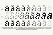Amilent | 36 Style Font, a Serif Font by IM Studio (Thumbnail 5 of 13)