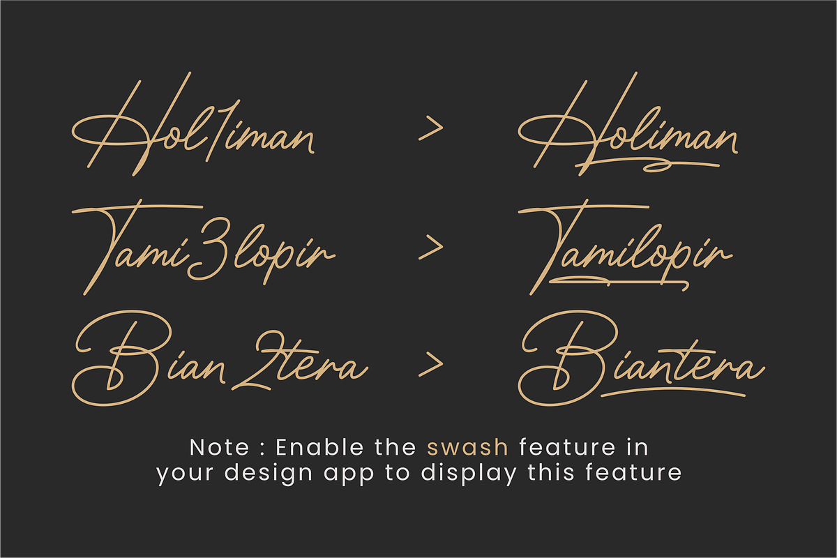 Signamarkova, a Handwritten Font by ahweproject (Photo 15 of 16)