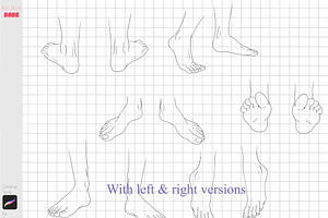 Procreate Foot Body Guide Feet Stamp