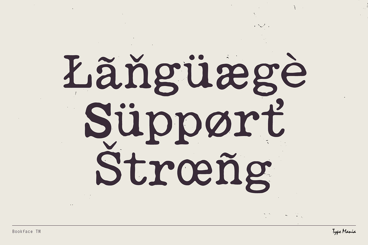 Bookface TM – Dynamic Grunge-y Type, a Slab Serif Font by Type Mania (Photo 9 of 11)
