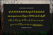 Morlintado | Monoline Script, a Script Font by gracetype_studio (Thumbnail 12 of 12)