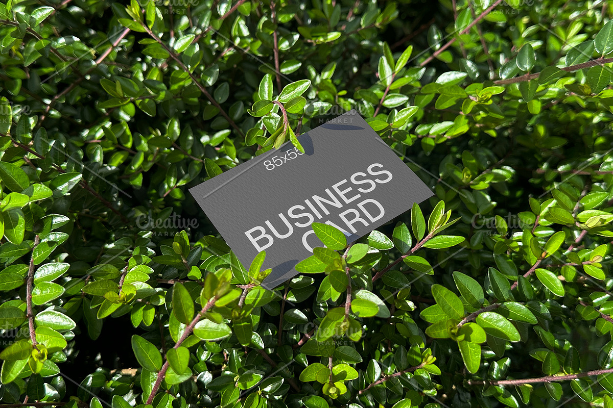 Green Leaf Business Card Mockup, a Mockup by Quirko (Photo 4 of 7)