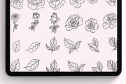 Procreate Roses Stamps, a Brush Add-On by RadekBroz (Thumbnail 8 of 11)