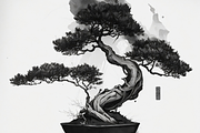 25 Japanese Bonsai BnW Sketches, a Decorative Illustration by Cam' Studio (Thumbnail 4 of 4)