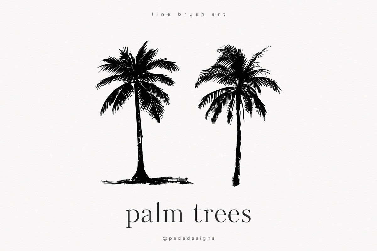 Palm Trees, an Object Illustration by PeDe Designs (Photo 3 of 9)