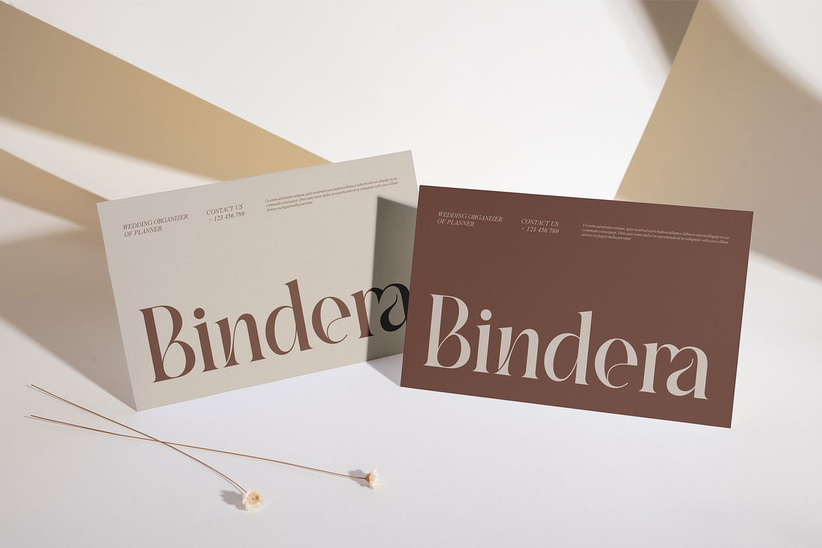 Amesya || Modern Minimalist Serif, a Serif Font by Ermedia Studio (Photo 3 of 10)