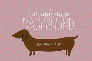Hand Drawn Dachshund