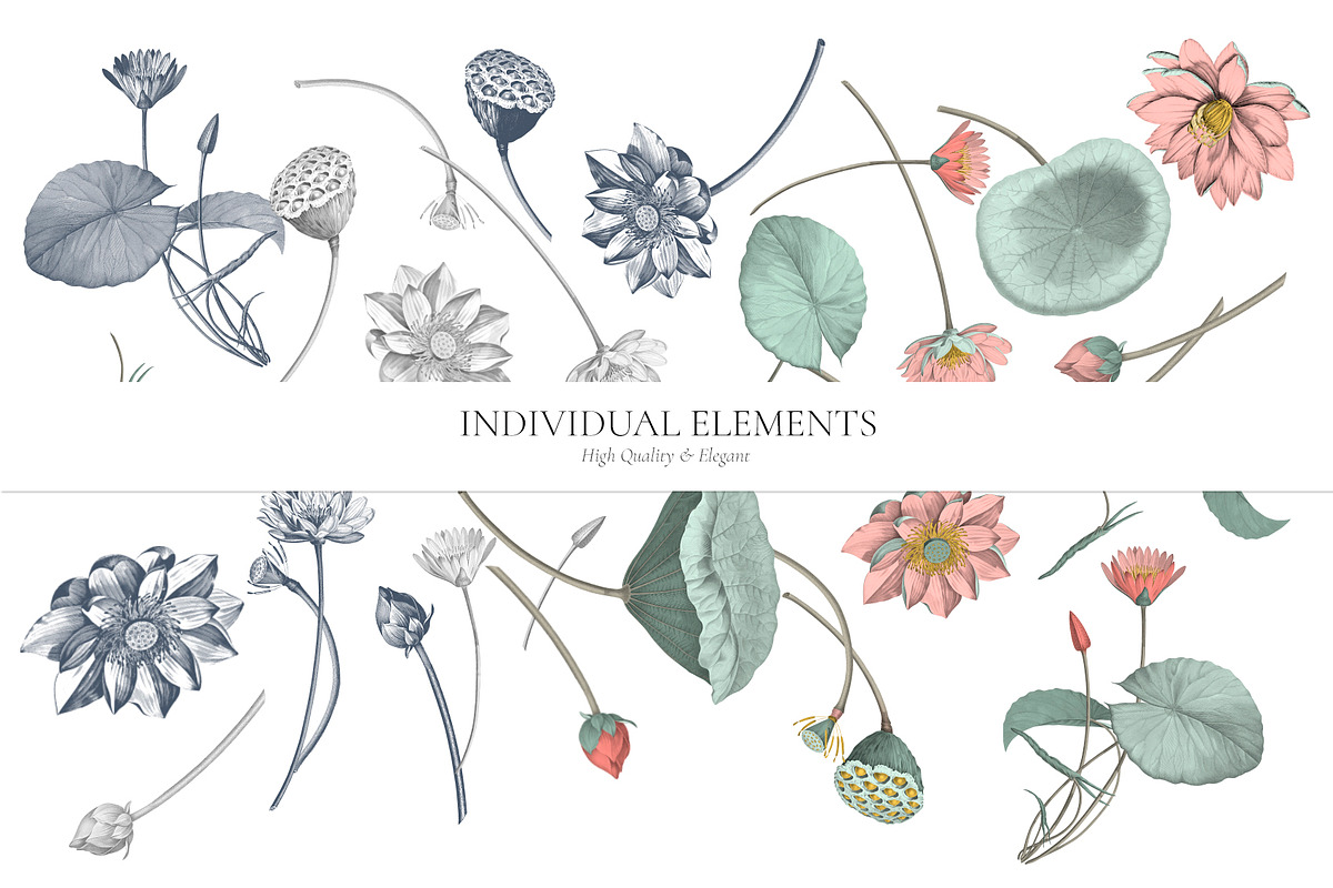 Nelumbo, Luxury Pattern & Motifs, a Pattern Graphic by TSTUDIO (Photo 9 of 9)