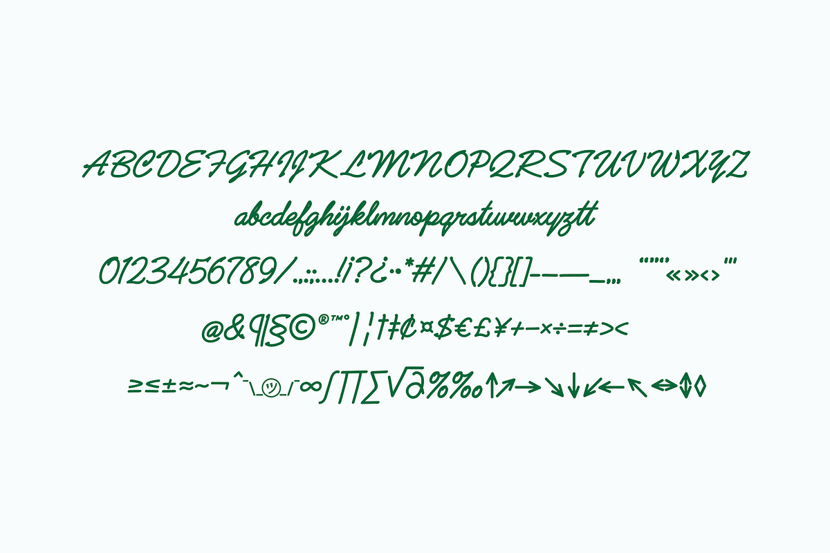 Flatface Haley's, a Script Font by Flatface (Photo 4 of 6)