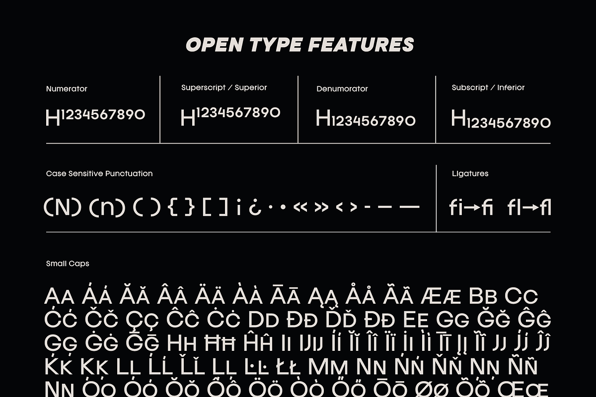Franie Geometric Sans Family, a Font by That That Creative (Photo 14 of 16)