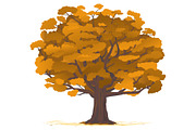 Set of oak tree in four seasons, an Illustration by Oceloti (Thumbnail 5 of 5)