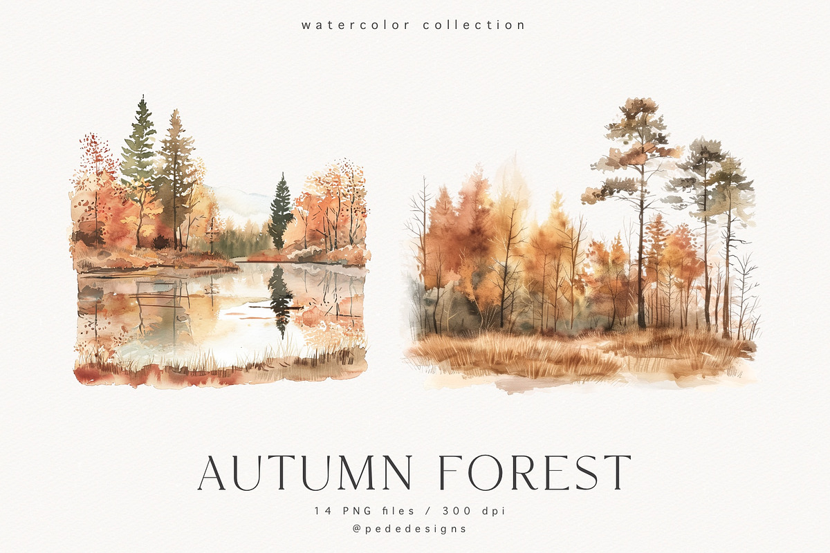 Autumn Forest, a Seasonal Illustration by PeDe Designs (Photo 2 of 7)
