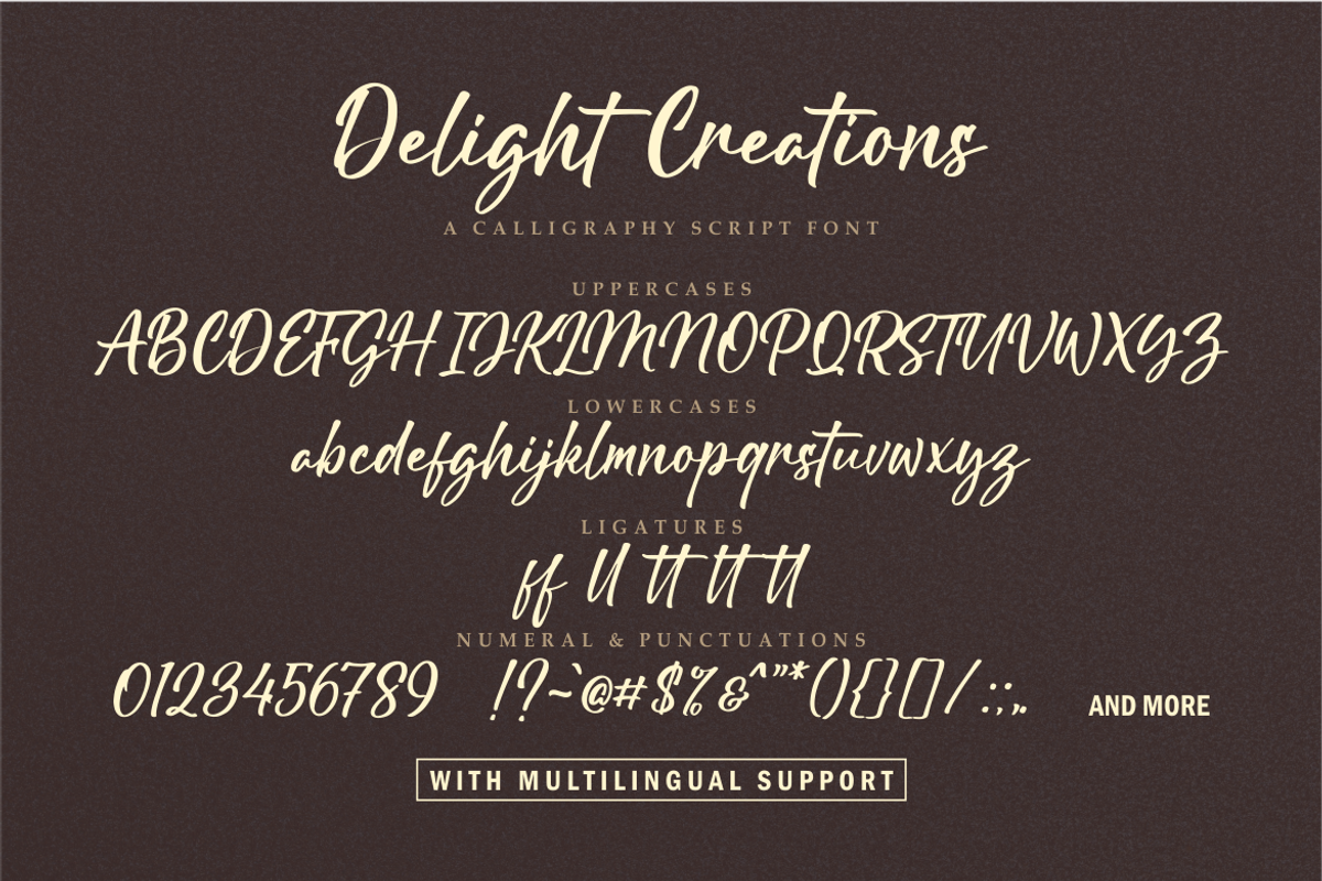 Delight Creations a Script Font, a Script Font by Vilogsign (Photo 5 of 7)