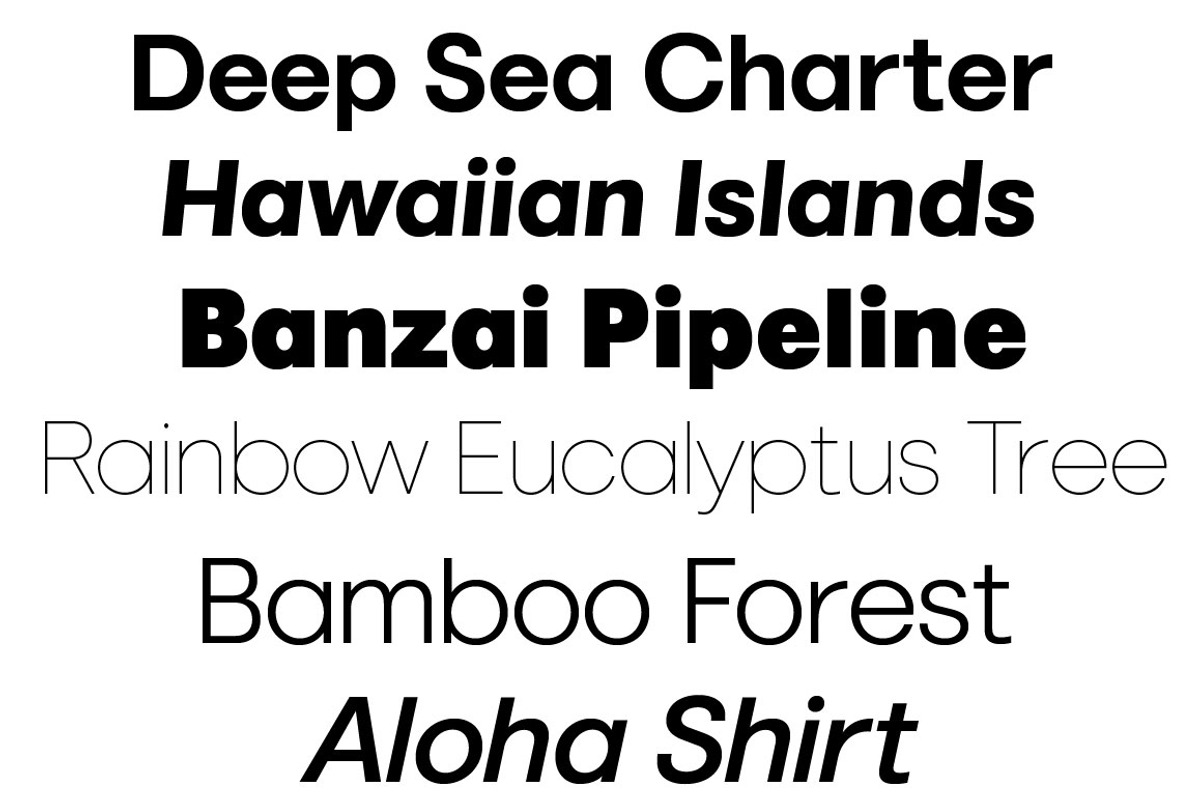 Marlin Sans Italic Set preview 3