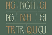 VEN - Display Typeface, a Font by Dat Do (Thumbnail 21 of 25)