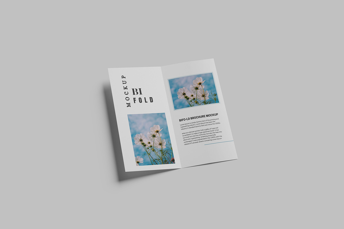 DL Bifold Brochure Mockup, a Print Template by Difa Design (Photo 7 of 11)