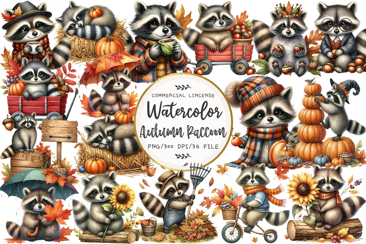 Watercolor Autumn Raccoon Clipart, an Illustration by OK Design (Photo 1 of 5)