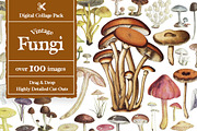 Vintage Collage Creator 1000+ Images, an Object Graphic by Collage Supply Co (Thumbnail 14 of 21)