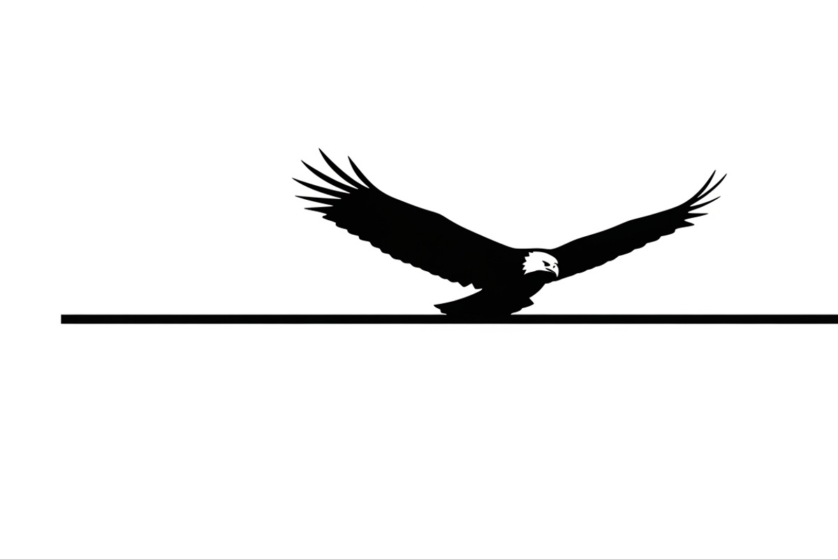 Powerful eagle flying wall art, an Illustration by Amazin_art (Photo 4 of 26)