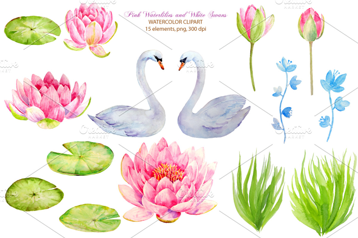 Wedding Clipart Waterlily and Swans, an Illustration by Corner Croft (Photo 2 of 3)