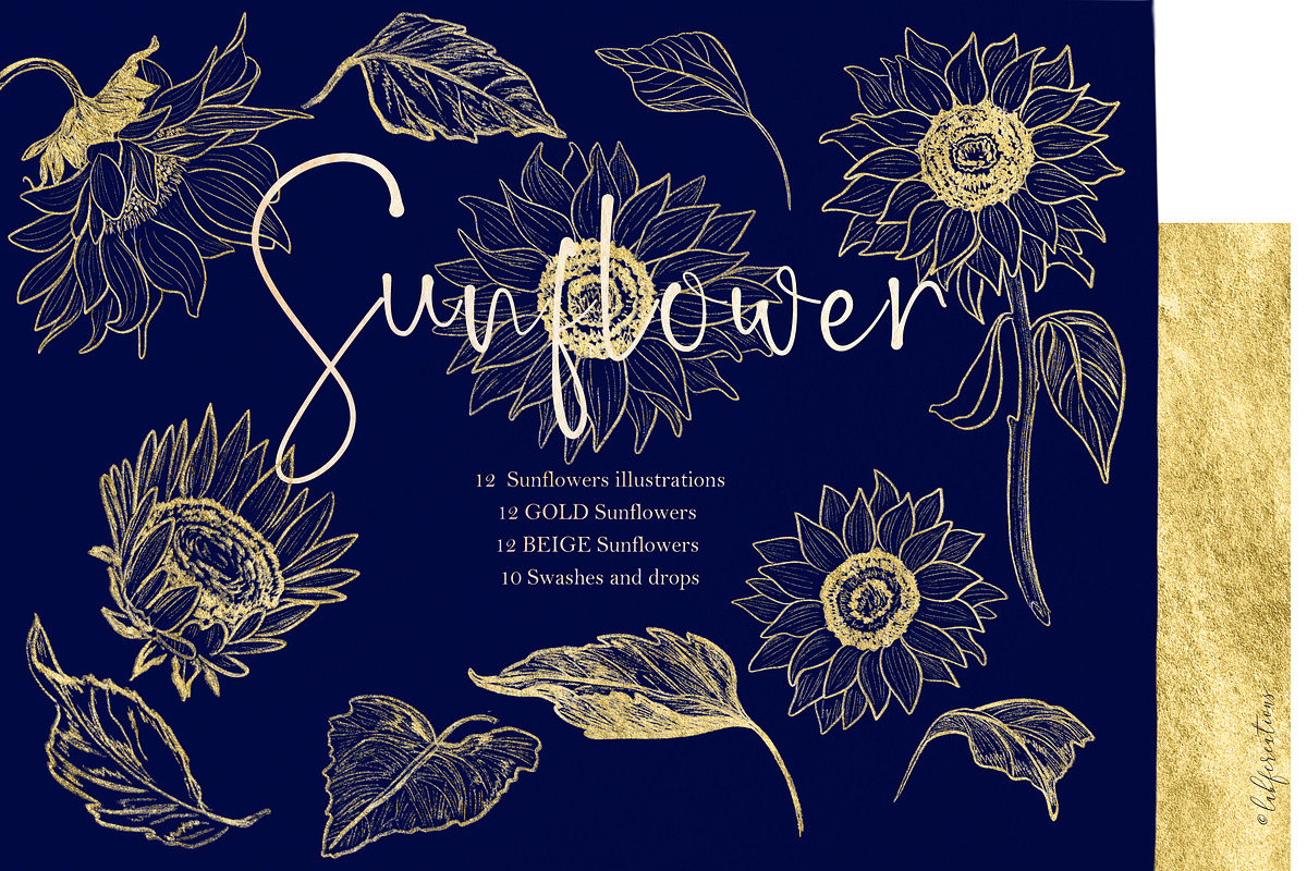 Sunflowers. Sketch Outline art, an Illustration by LABFcreations (Photo 6 of 6)