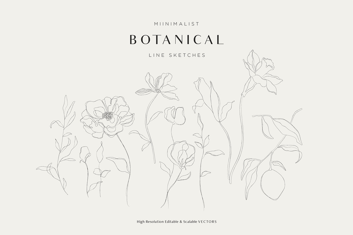 Minimalist Botanical Line Sketches, a Decorative Illustration by Galerie Design Studio (Photo 6 of 6)