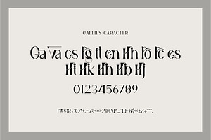 Gallies Ligature Serif Typeface