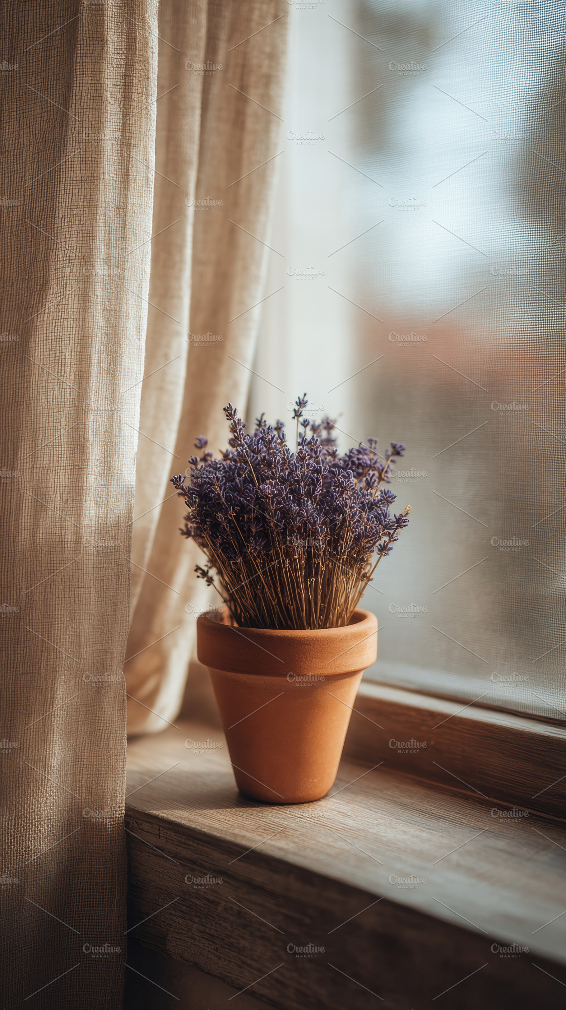Terracotta Pot with Dried Lavender, a Nature Photo by Virgo Studio