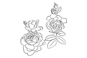 Outlined Flowers, an Object Graphic by VictoriaKStudio (Thumbnail 2 of 4)