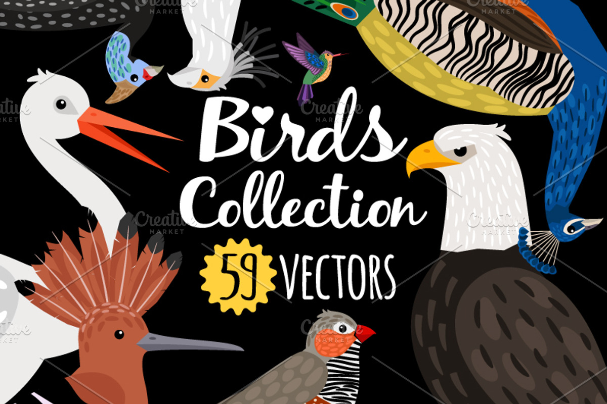 Big set of Different Birds, an Object Graphic by ianakauri (Photo 1 of 8)
