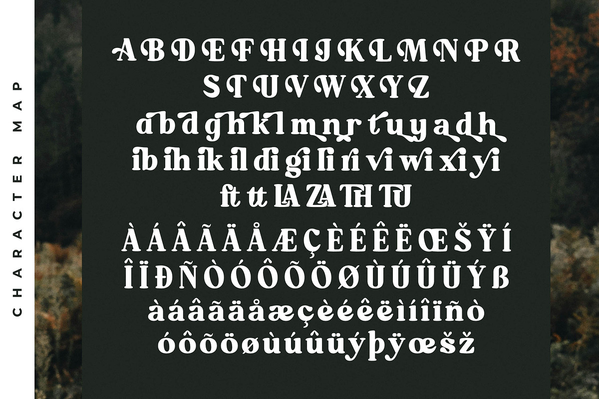 Mistys Relrica  Modern Retro Serif, a Serif Font by Letterena Studios (Photo 14 of 15)