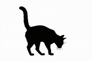 Elegant Cat  Silhouette Bundle, a Graphic by jahid234 (Thumbnail 3 of 11)