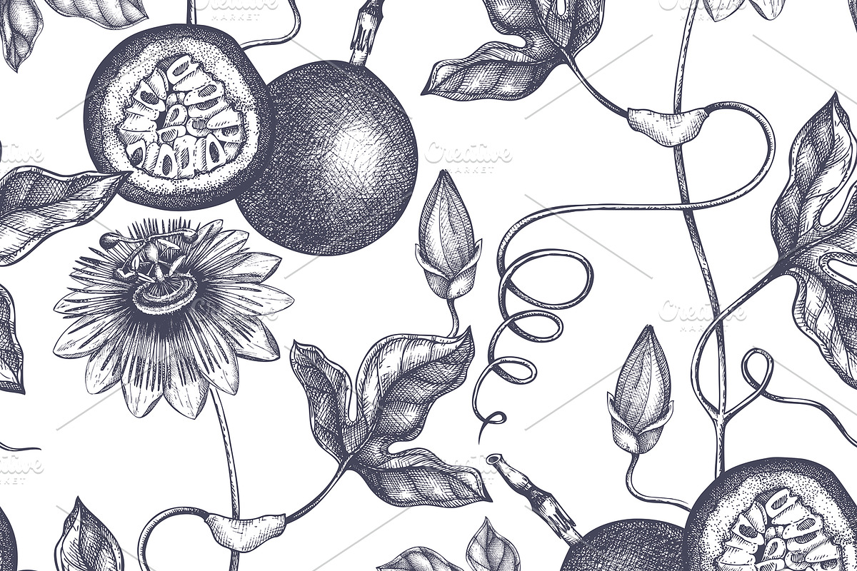Vintage Tropical Fruit Sketches, a Food Illustration by Yevheniia (Photo 8 of 8)