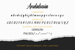 Andalusia A Elegant Script