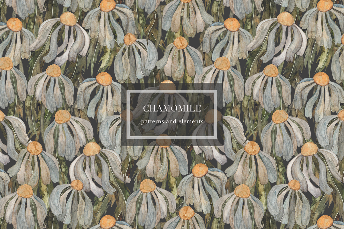 Patterns Chamomile, an Illustration by PASHKOVA (Photo 1 of 11)