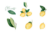 Watercolor Citrus Fruit Lemon, a Food Illustration by MayaNavits (Thumbnail 2 of 11)