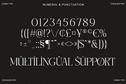 CHEVALIER Modern Luxury Typeface, a Serif Font by Comactype Foundry (Thumbnail 12 of 13)