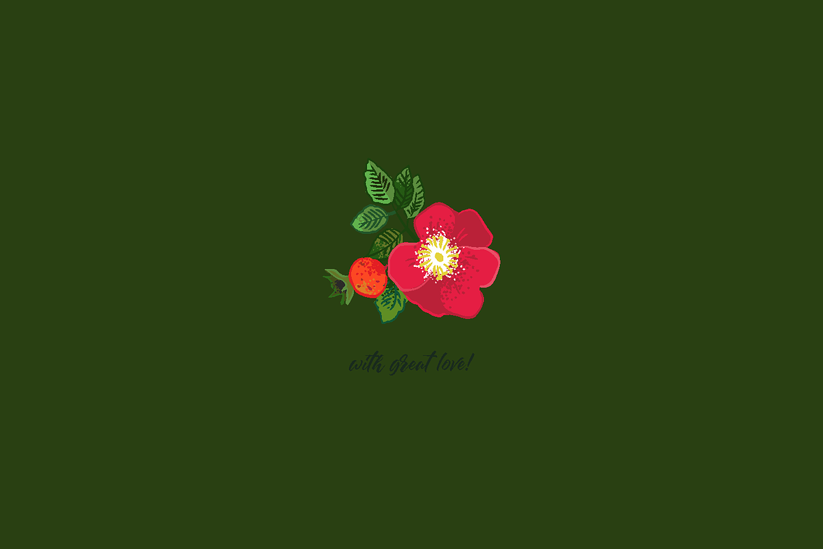 Wild meadow flowers $ herbs, an Object Graphic by yttadesign (Photo 17 of 17)